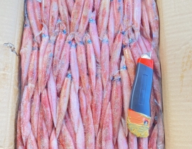 MỰC TRỨNG 9/12 A PHAN THIẾT NGUYÊN BÁNH